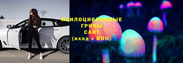 2c-b Алзамай