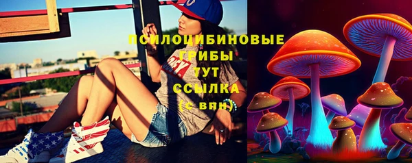 мескалин Алексин