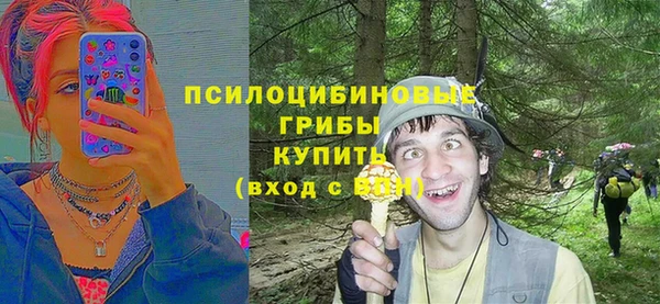 2c-b Алзамай